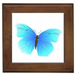 Blue Butterfly Framed Tile