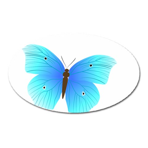 Blue Butterfly Magnet (Oval) from ArtsNow.com Front