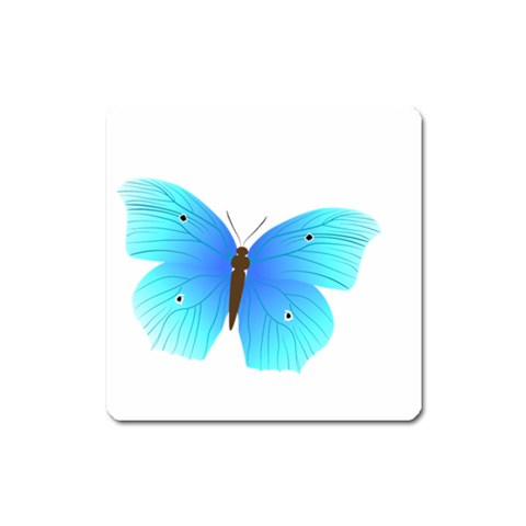 Blue Butterfly Magnet (Square) from ArtsNow.com Front