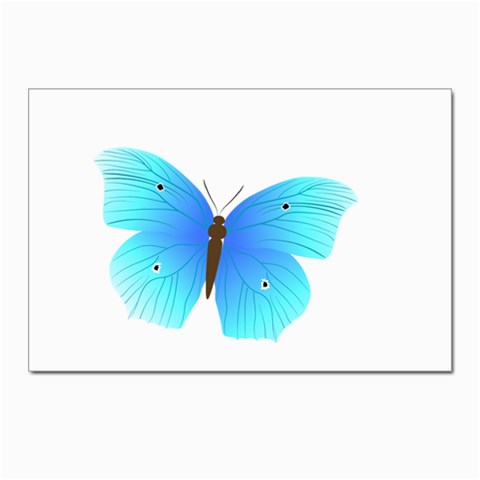 Blue Butterfly Postcards 5  x 7  (Pkg of 10) from ArtsNow.com Front