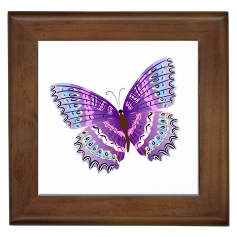Purple Butterfly Framed Tile from ArtsNow.com Front