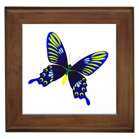 Blue Yellow Butterfly Framed Tile from ArtsNow.com Front