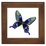 Blue Yellow Butterfly Framed Tile