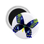 Blue Yellow Butterfly 2.25  Magnet