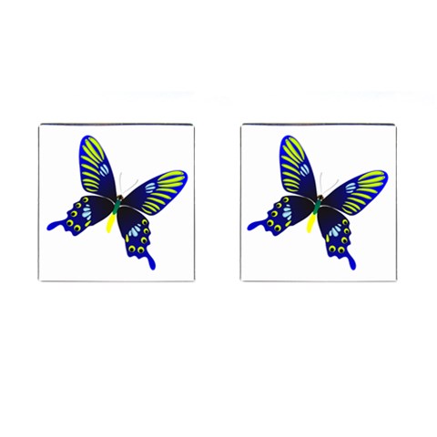 Blue Yellow Butterfly Cufflinks (Square) from ArtsNow.com Front(Pair)