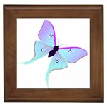 Blue and Purple Butterfly Framed Tile