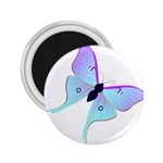 Blue and Purple Butterfly 2.25  Magnet
