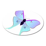 Blue and Purple Butterfly Magnet (Oval)