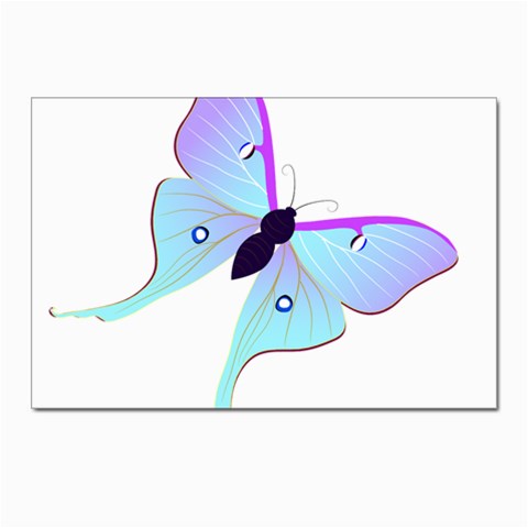 Blue and Purple Butterfly Postcard 4 x 6  (Pkg of 10) from ArtsNow.com Front