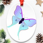 Blue and Purple Butterfly Oval Ornament (Two Sides)