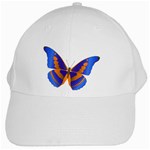 Blue & Orange Butterfly White Cap
