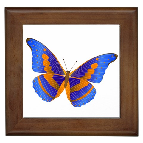 Blue & Orange Butterfly Framed Tile from ArtsNow.com Front