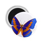 Blue & Orange Butterfly 2.25  Magnet