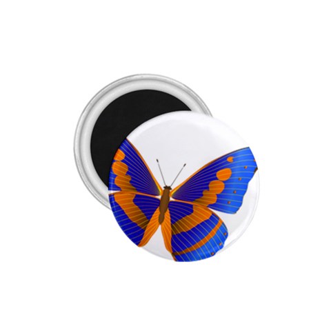 Blue & Orange Butterfly 1.75  Magnet from ArtsNow.com Front