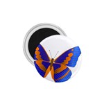 Blue & Orange Butterfly 1.75  Magnet