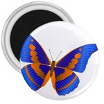 Blue & Orange Butterfly 3  Magnet