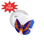 Blue & Orange Butterfly 1.75  Button (10 pack) 