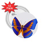 Blue & Orange Butterfly 2.25  Button (10 pack)