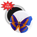 Blue & Orange Butterfly 2.25  Magnet (10 pack)