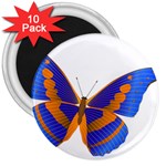 Blue & Orange Butterfly 3  Magnet (10 pack)