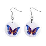 Blue & Orange Butterfly 1  Button Earrings