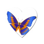 Blue & Orange Butterfly Magnet (Heart)