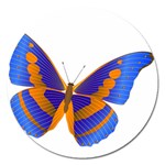 Blue & Orange Butterfly Magnet 5  (Round)