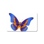 Blue & Orange Butterfly Magnet (Name Card)