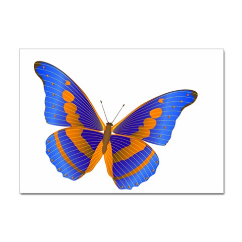 Blue & Orange Butterfly Sticker A4 (10 pack) from ArtsNow.com Front