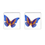 Blue & Orange Butterfly Cufflinks (Square)