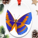 Blue & Orange Butterfly Oval Ornament (Two Sides)