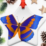 Blue & Orange Butterfly Star Ornament (Two Sides)
