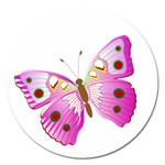 Pink & Purple Butterfly Magnet 5  (Round)
