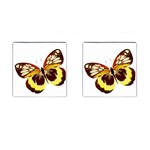 Brown & Yellow Butterfly Cufflinks (Square)