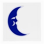 sigma -photo-11 Glasses Cloth (Medium)