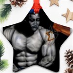 sigma -photo-10 Ornament (Star)