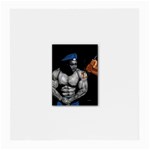 sigma -photo-10 Glasses Cloth (Medium)