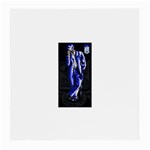 sigma -photo-5 Glasses Cloth (Medium, Two Sides)