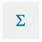 sigma-greec Glasses Cloth (Medium, Two Sides)