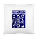 SIGMA2_against_hazing Cushion Case (One Side)