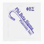 sigma 4_canes_peppermint_sing Glasses Cloth (Medium, Two Sides)