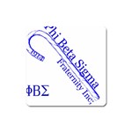 sigma 4_canes_peppermint_sin Magnet (Square)
