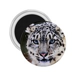 Snow Leopard 2.25  Magnet