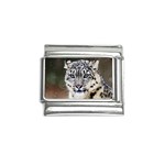 Snow Leopard Italian Charm (9mm)