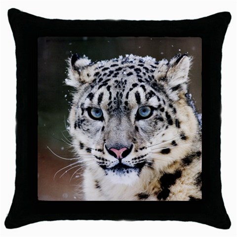 Snow Leopard Throw Pillow Case (Black) from ArtsNow.com Front