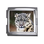 Snow Leopard Mega Link Italian Charm (18mm)