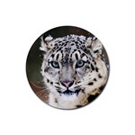 Snow Leopard Rubber Round Coaster (4 pack)