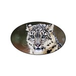 Snow Leopard Sticker (Oval)