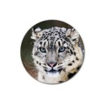 Snow Leopard Magnet 3  (Round)