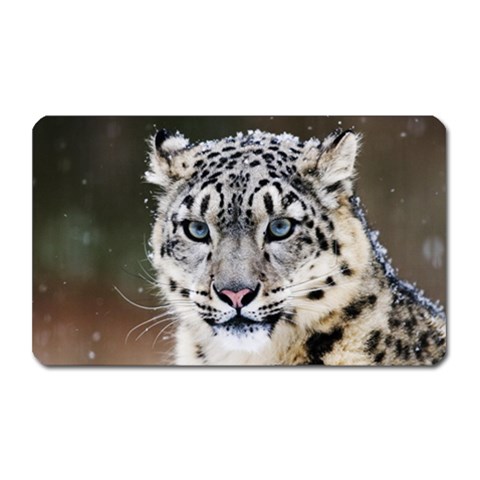 Snow Leopard Magnet (Rectangular) from ArtsNow.com Front